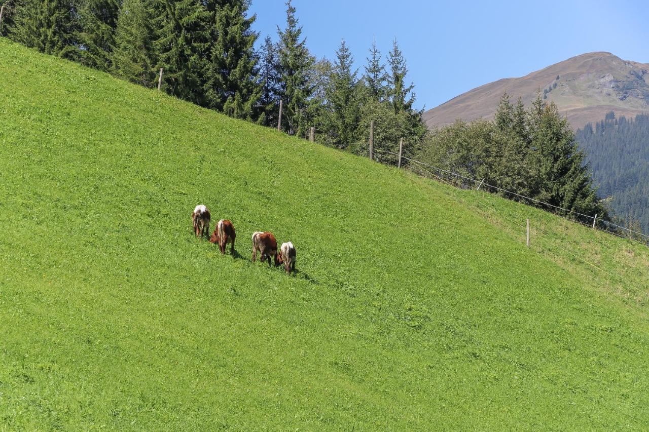 Ferienwohnung Landhaus Hinterglemm Saalbach Exterior foto